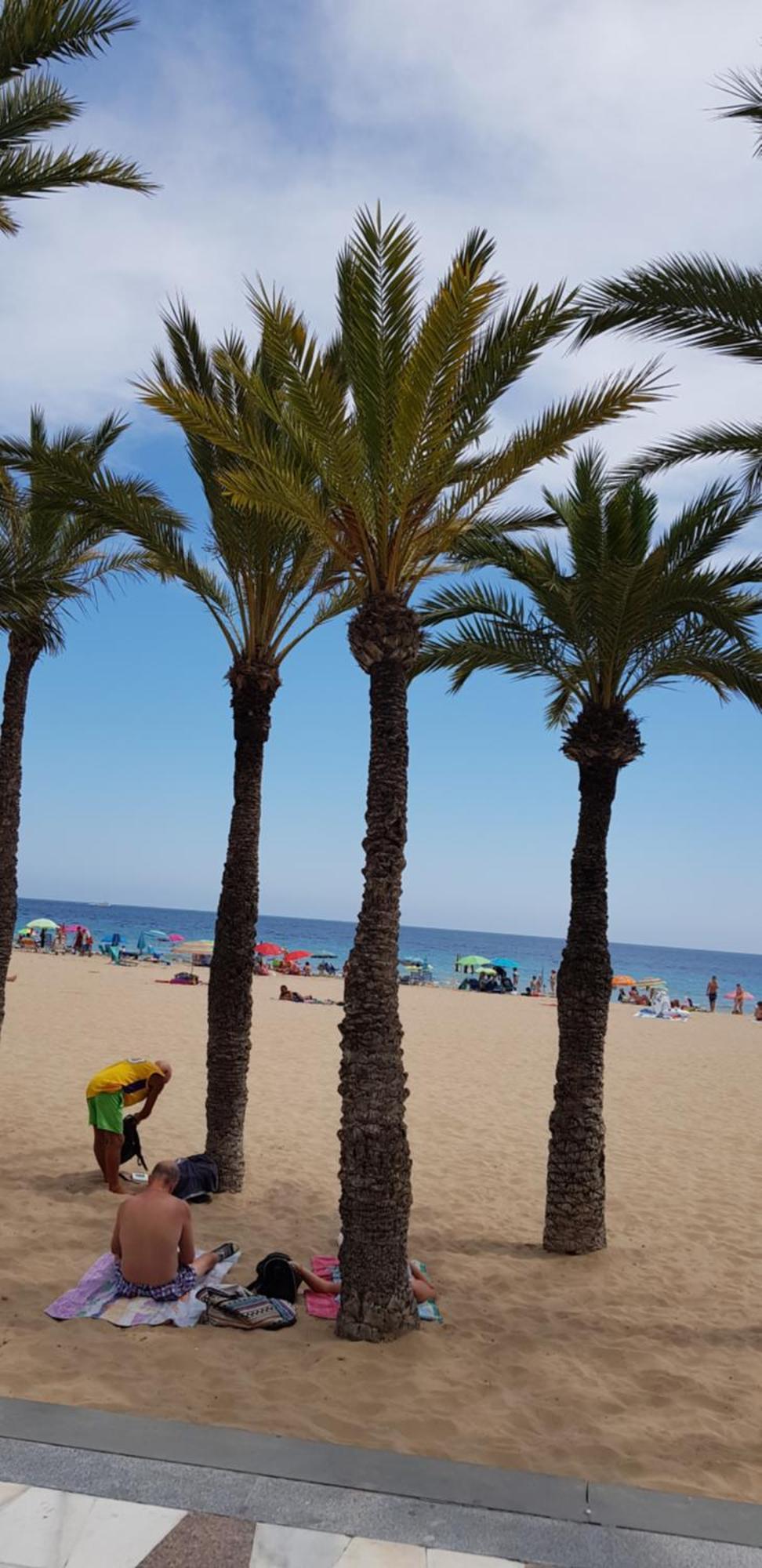 Benidorm Beach公寓 外观 照片